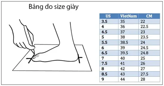 Size giày Wilson nam