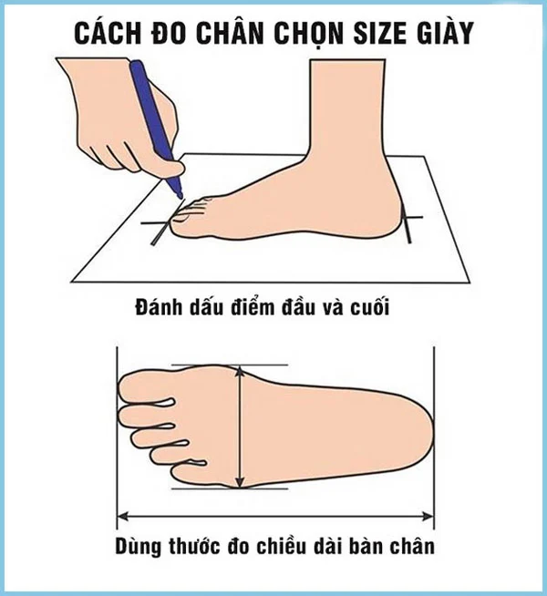 Cách đo chân đúng size giày Hàn Quốc chuẩn