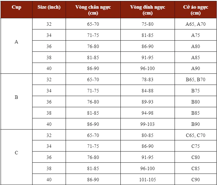 Bảng size áo ngực Việt Nam