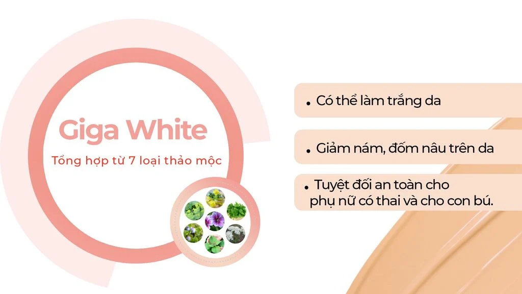 Giga White được tổng hợp từ 7 loại thảo mộc tốt nhất mọc tự nhiên trên dãy núi An-pơ của Thuỵ Sĩ