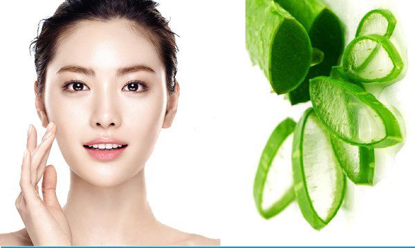 Cách làm trắng da tại nhà bằng nha đam Cách làm trắng da tại nhà bằng nha đam