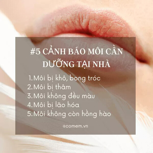 5 Dấu hiệu cảnh báo bạn cần dưỡng môi tại nhà