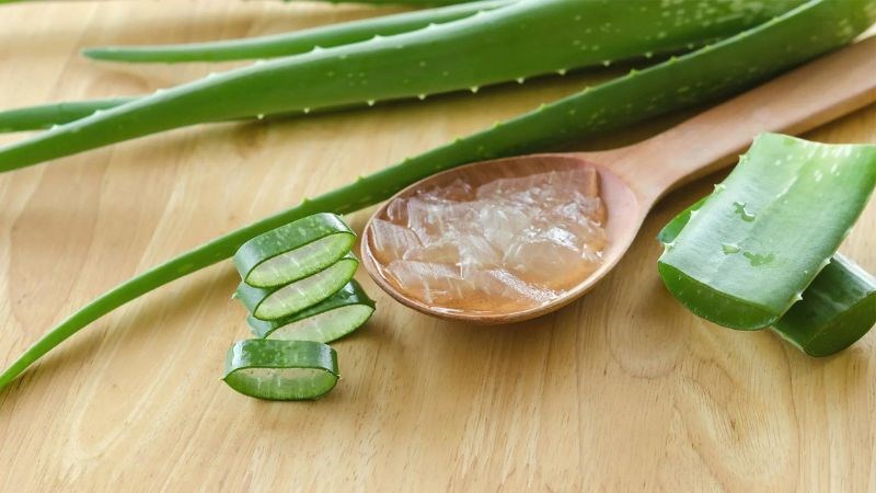 Cách giảm sưng mụn bằng nha đam (Aloe Vera)