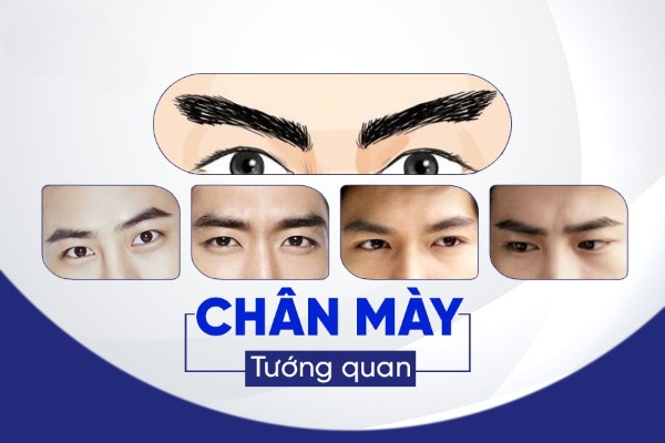 Chân mày tướng quan là gì? Nó có ý nghĩa đặc biệt trong tướng số như thế nào? Chân mày tướng quan là gì? Nó có ý nghĩa đặc biệt trong tướng số như thế nào?