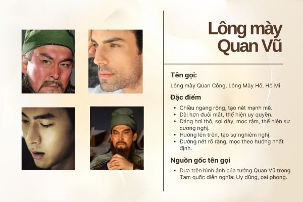 Thế nào là Lông mày Quan Vũ?