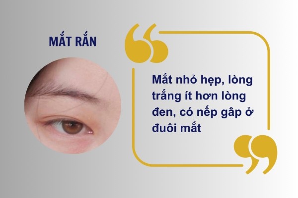 Tướng mắt rắn làm người sở hữu cảm thấy thiếu tự tin khi giao tiếp