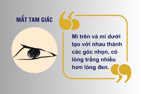 Mắt tam giác là đặc điểm của người hiếu thắng, hay tranh luận với người khác
