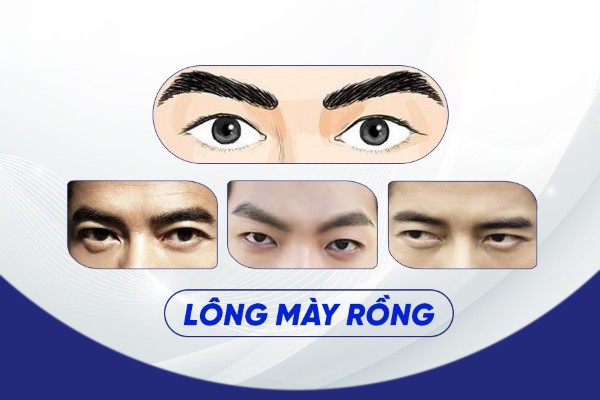 Lông mày rồng là gì? Giải mã tướng số chi tiết