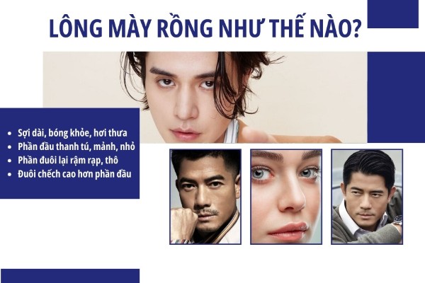 Lông mày rồng là một trong những dáng mày đẹp, hiếm gặp