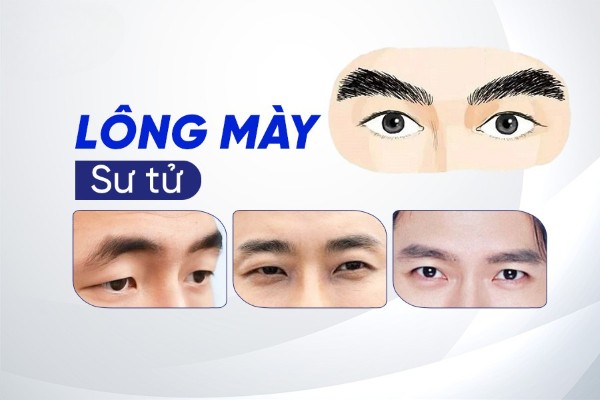 Lông mày sư tử: Biểu tượng của uy nghiêm và sự kiên định mạnh mẽ