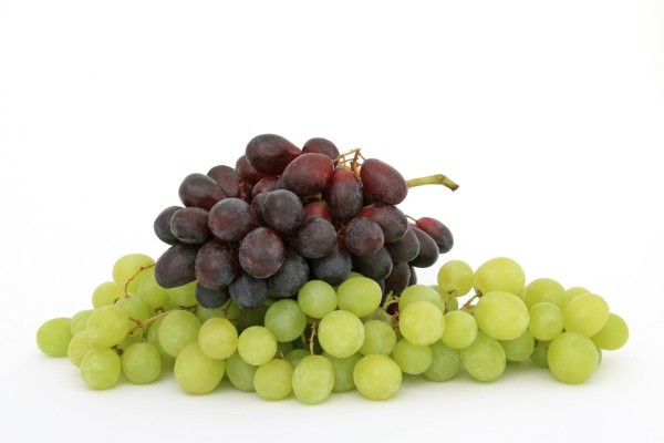 Sự kết hợp hoàn hảo của các dưỡng chất trong nho giúp làn da trắng sáng, tăng cường độ đàn hồi 