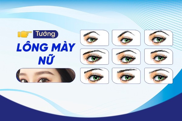 Tìm hiểu 23 tướng lông mày nữ trong phong thủy tướng số