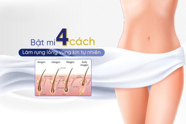 4 Cách làm rụng lông vùng kín tự nhiên an toàn ngay tại nhà
