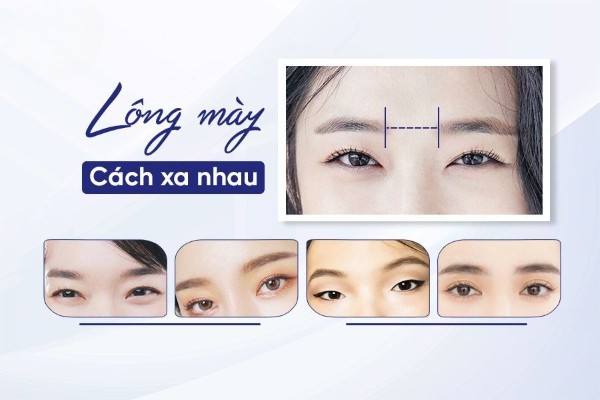 2 lông mày cách xa nhau thường không phải là một dáng mày tốt trong phong thủy