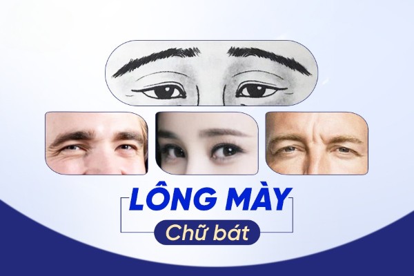Lông mày chữ bát ở nam và nữ nói lên điều gì? Tốt hay xấu?