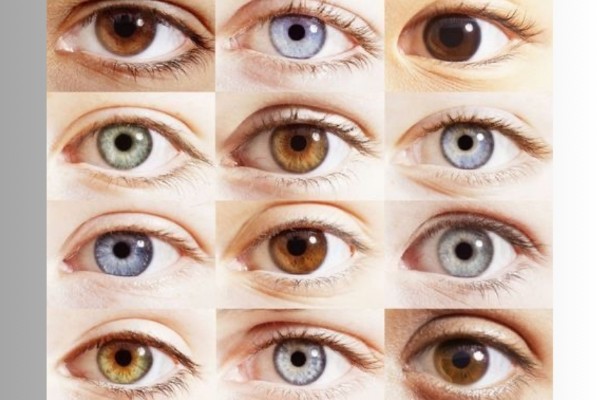 Tướng mắt nhỏ, hẹp như mắt phượng là người thông minh và có khả năng giao tiếp