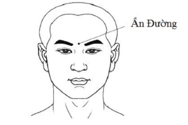 Ấn đường hay còn gọi là cung mệnh, là yếu tố ảnh hưởng đến số mệnh của một người