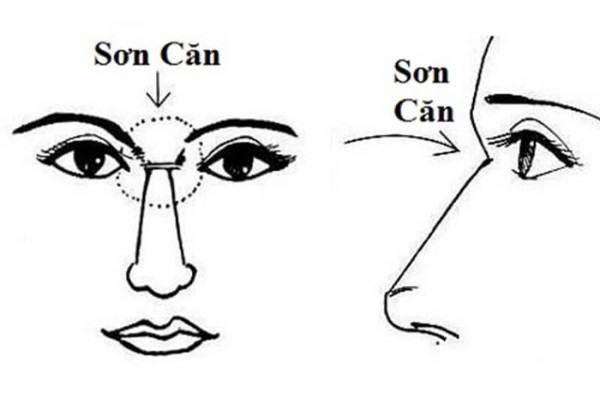 Sơn căn là đặc điểm nhân tướng học có liên quan đến sức khỏe và sự nghiệp của một người