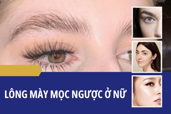 Tướng lông mày mọc ngược cho thấy họ thường nóng giận, dễ gặp khó khăn tài chính Tướng lông mày mọc ngược cho thấy họ thường nóng giận, dễ gặp khó khăn tài chính