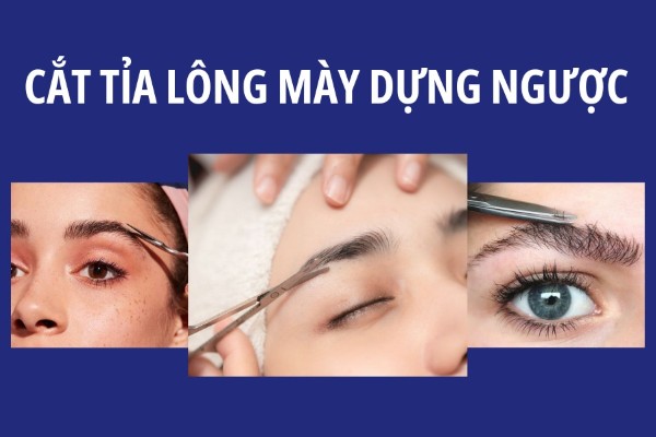 Dùng kéo cắt tỉa dáng lông mày mọc ngược lên Dùng kéo cắt tỉa dáng lông mày mọc ngược lên