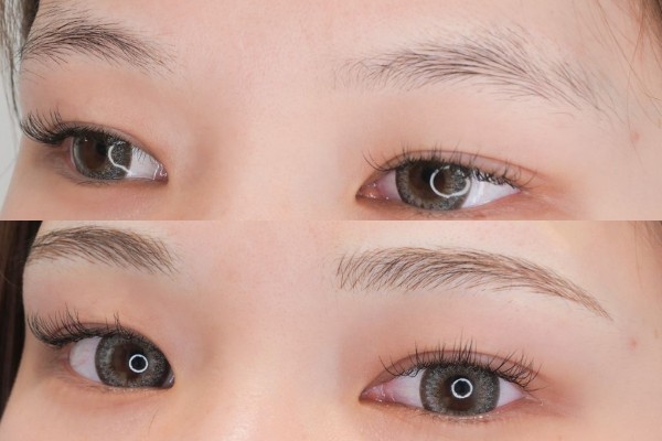 Lông mày nhạt dần về đuôi