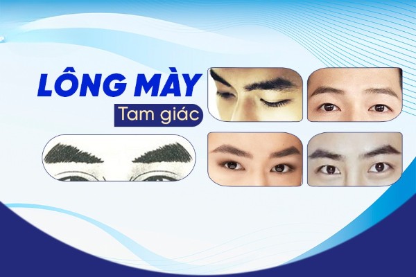 Lông mày tam giác: Đặc điểm nhận biết và ý nghĩa phong thủy Lông mày tam giác: Đặc điểm nhận biết và ý nghĩa phong thủy
