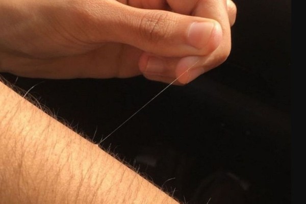 Cọng lông tài có thể cho là dấu hiệu may mắn ở góc độ phong thủy