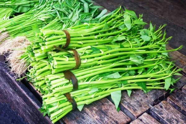 Bị trầy xước da không nên ăn gì? Không nên ăn rau muống khi bị trầy xước ngoài da