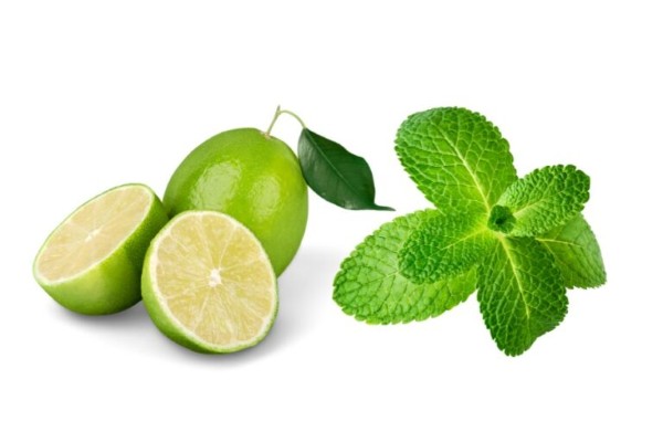 Cách làm môi hết thâm sau 1 đêm bằng chanh tươi và lá bạc hà Cách làm môi hết thâm sau 1 đêm bằng chanh tươi và lá bạc hà