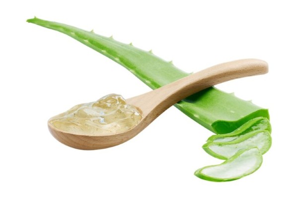 Cách làm môi hồng tự nhiên sau 1 đêm bằng nha đam Cách làm môi hồng tự nhiên sau 1 đêm bằng nha đam