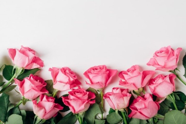 Cánh hoa hồng cung cấp các chất chống oxy hóa và giảm viêm giúp khử thâm và dưỡng ẩm cho da môi. Cánh hoa hồng cung cấp các chất chống oxy hóa và giảm viêm giúp khử thâm và dưỡng ẩm cho da môi.