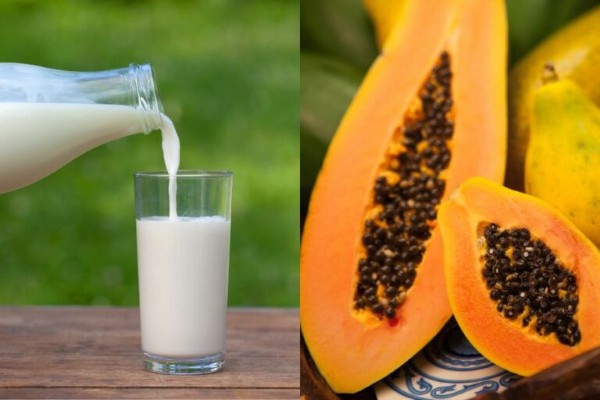 Kết hợp sữa tươi và đu đủ chín cũng là cách triệt lông chân tại nhà cực đơn giản
