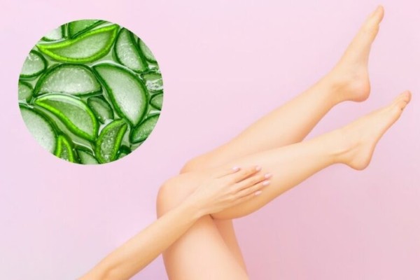 Nha đam không chỉ làm dịu vùng da khô mà còn giúp da sáng khỏe, mềm mại và đều màu hơn