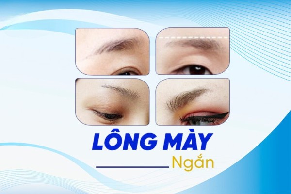 Tướng lông mày ngắn không đuôi, thưa thớt là tốt hay xấu?