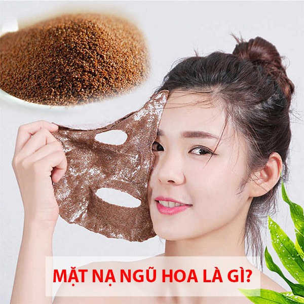 Mặt nạ hạt ngũ hoa là gì?
