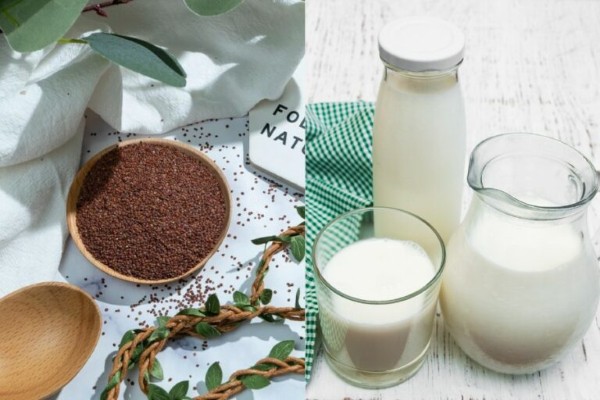 Đắp mặt nạ ngũ hoa với sữa tươi đều đặn để cảm nhận được sự thay đổi rõ rệt, làn da trở nên tươi sáng và mềm mại hơn