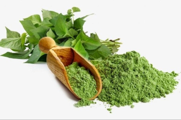 Dùng rau diếp cá chữa mụn thịt ở cổ hiệu quả