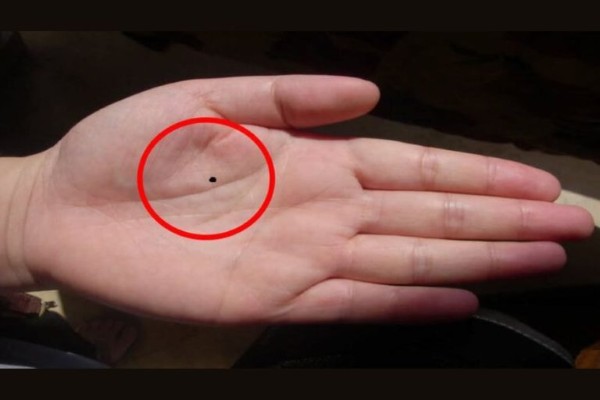 Nốt ruồi ở lòng bàn tay trái thường có những ý nghĩa về nội tâm