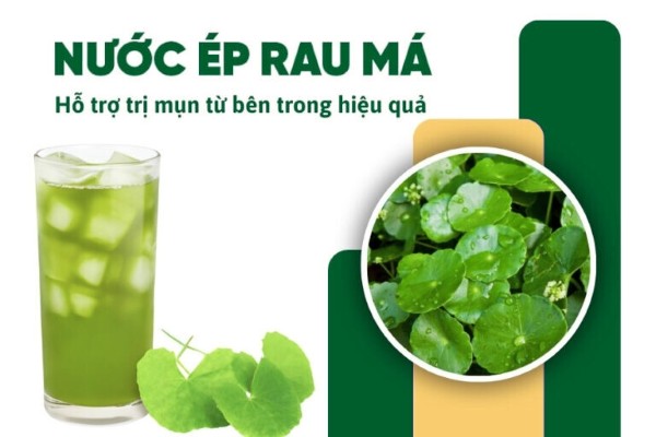 Rau má có tác dụng giúp thanh lọc cơ thể, giải độc và hỗ trợ điều trị mụn Rau má có tác dụng giúp thanh lọc cơ thể, giải độc và hỗ trợ điều trị mụn