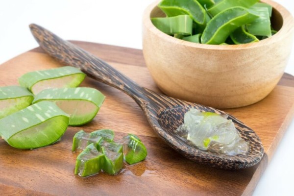 Mặc dù không thể trị da dầu vĩnh viễn nhưng nha đam có khả năng kiểm soát dầu thực hiệu quả