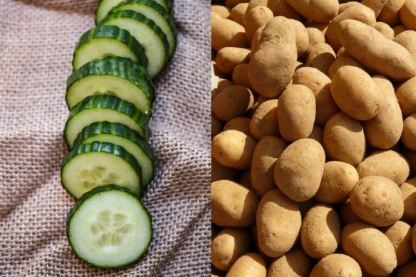 Các chữa thâm mắt bằng dưa leo cùng khoai tây