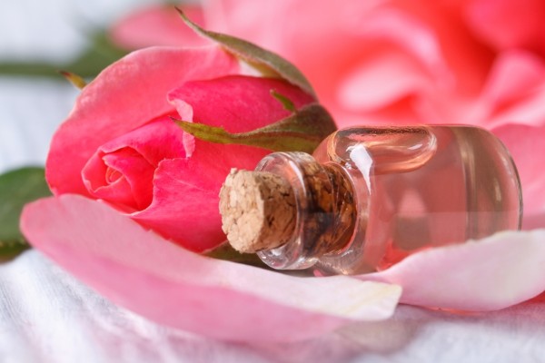 Cách làm mặt nạ rong biển trị nám và nước hoa hồng