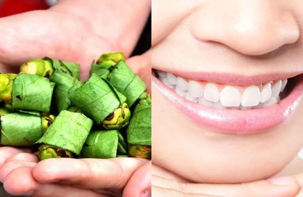 Hỗ trợ sức khỏe răng miệng