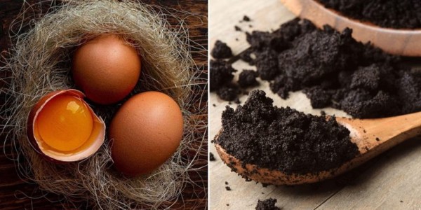 Trứng gà kết hợp bã cafe giúp bổ sung các dưỡng chất, trẻ hóa làn da