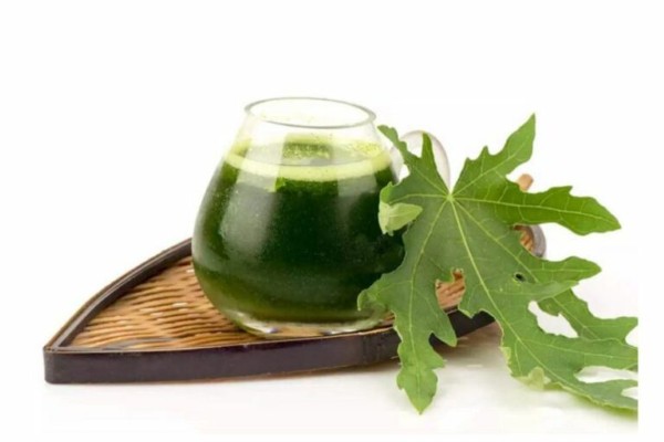 Chữa nám bằng đu đủ xanh ép lấy nước giúp mờ đốm nâu, da hồng hào