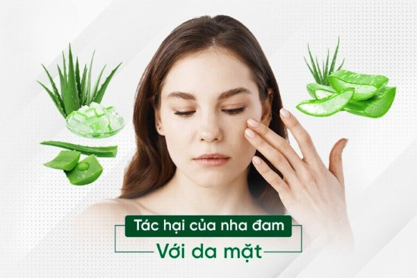 Tác hại của nha đam với da mặt khi dùng sai cách: Cảnh báo từ chuyên gia Tác hại của nha đam với da mặt khi dùng sai cách: Cảnh báo từ chuyên gia
