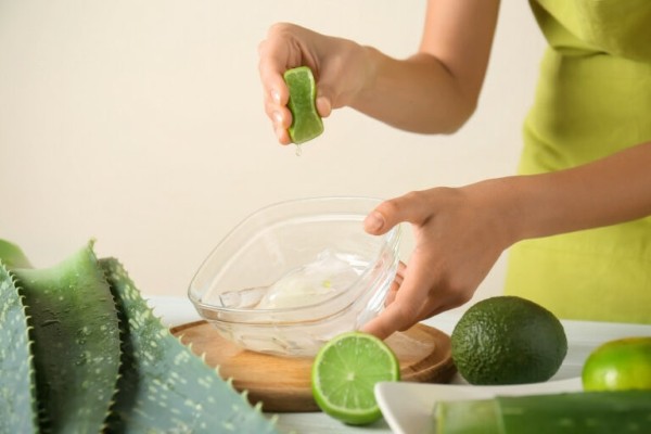 Sơ chế nguyên liệu cẩn thận để hạn chế tối đa những tác hại của nha đam với da mặt Sơ chế nguyên liệu cẩn thận để hạn chế tối đa những tác hại của nha đam với da mặt