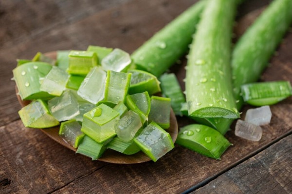 Việc sơ chế nha đam sai cách là nguyên nhân chính dẫn đến các tác hại của nha đam với da mặt Việc sơ chế nha đam sai cách là nguyên nhân chính dẫn đến các tác hại của nha đam với da mặt