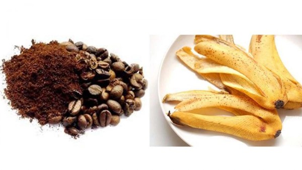 Tẩy tế bào chết bằng bã cà phê và chuối Tẩy tế bào chết bằng bã cà phê và chuối