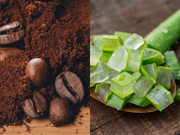 Tẩy tế bào chết bằng bã cà phê và nha đam Tẩy tế bào chết bằng bã cà phê và nha đam